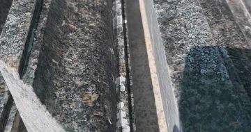 许昌英国棕别墅线条